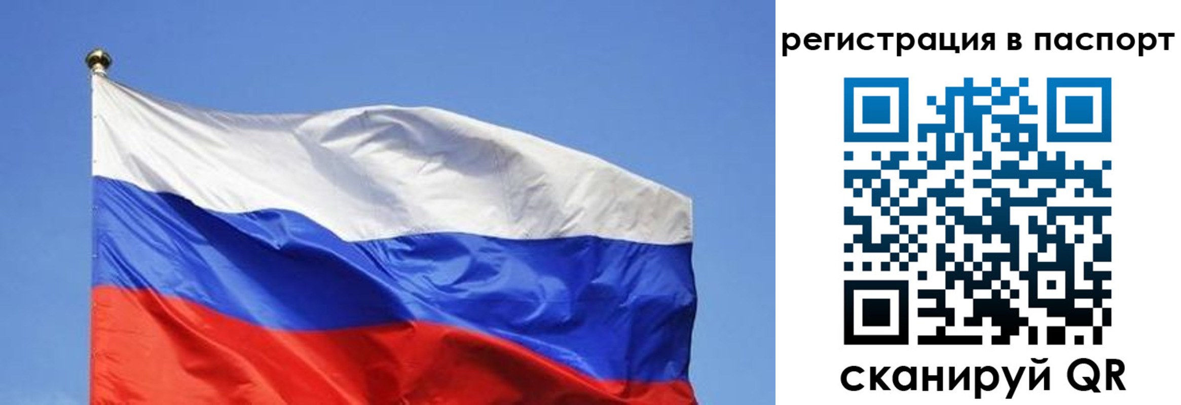 прописка в квартире в Дедовске
